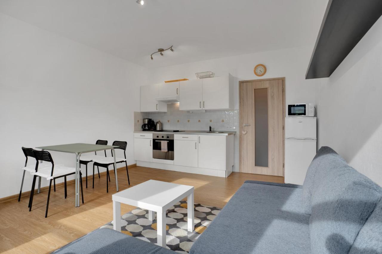 Horsky Apartman Klinovec 4 Loučná pod Klínovcem Dış mekan fotoğraf